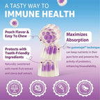 Kid Vitamin C Gummies With Zinc D3, Elderberry, Probiotics & Prebiotics, Sugar Free Immune Gummies for Kids 4+, Childrens Vitamins Supplement for Immune & Digestive Health, Powerful Antioxidant, 60cts