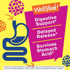 Probiotics for Women Gummies - 10 Billion CFU - for Digestive Support, Gut Health, and Feminine Health Support - Natural Sourced Flavors - Vegan, Delayed Release Womens Probiotic - 60 Gummies