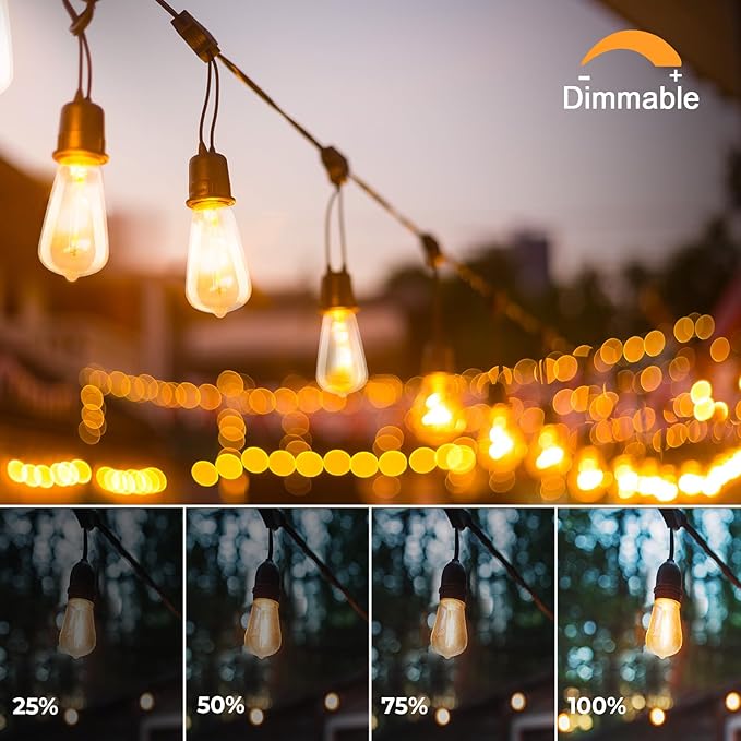 48 Pack ST38 LED Replacement String Light Bulbs, 1Watt Equvanlent to 7Watt Incandescant Bulb, Shatterproof E12 LED Bulb for Outdoor Patio Garden Vintage String Lights, 2700K, Dimmable