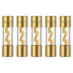 50A AGU Fuse 50 Amp Gold Plated Glass Inline Automobile Audio Fuses for Car Auto Stereo Amplifier Safety Power Protection 12V (Pack of 5 Pcs)