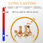 119PCS DOT Air Line Fittings Kit, Brass Compression 6 Size 1/4" 1/8" 3/8" 1/2" 5/8" 5/16" NPT Quick Connect Air Hose Fittings for DOT Air Line