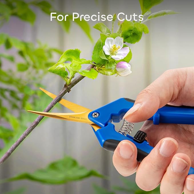 GROWNEER 6 Packs 6.5 Inch Pruning Shears with Curved Blades Trimming Scissors For Gardening Hand Pruning Snips Titanium Coated Precision Blades