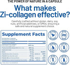 Zi-Collagen - Premium Collagen Capsules with Phytoceramides Hyaluronic Acid and Biotin - Skin Hair and Nails Advanced Anti Aging Supplement - Multivitamin for Women & Men - 60 Pills