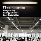 18 Inch F15T8/CW T8 15W Fluorescent Light Bulb Cool White Compatible for Philips GE F15T8/SP41 Replacement Bulb G13 Base 6 Count