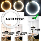 Circular Bulb FC8T9/DL, 8 Inch T9 22W Circline Fluorescent Light Bulbs, Replacement Round Fluorescent Lamp Tube, Bright Daylight 6400K 1250 Lumens, G10q 4 Pin Base, 2 Pack