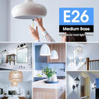 VOLIVO 24 Pack A19 Vintage LED Edison Bulbs, Dimmable, 60W Equivalent, High Brightness 5000K Daylight, Ultra-Bright, 7W E26 Standard Base, CRI80+, 800Lumens, Clear Glass Filament Bulb for Home