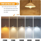 LED Light Bulbs 40 Watt Equivalent, 2700K Soft Warm Light Bulbs, 4W LED ST19 Edison Bulbs, 450LM, E26 Medium Base, High CRI 90+, Not Dimmable, Pack of 12