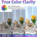 G16.5 LED Bulb Dimmable, 6W, 60 watt Equivalent, 4000K Neutral White E26 Globe Bulb, Round Edison Bulbs for Ceiling Fan, Pendant, Chandeliers, 90+CRI 600LM, 6 Pack