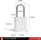 TRADESAFE Lockout Tagout Locks Set - 10 Silver Aluminum Loto Locks, Keyed Different Lock Out Tag Out Padlocks, 2 Keys Per Lockout Padlock, OSHA Compliant