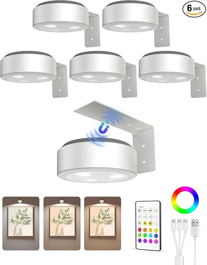 EZVALO Picture Lights for Wall, 2000mAh Rechargeable Battery Magnetic Poster Lights with 3 Color Temps & 12 RGB, Remote Dimmable Timer Painting Light, Wall Decor Light for Art Display, Frame (6 Pack)