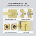 Haidms 2 Pack Gold Exterior Door Lock Set, Front Door Handle and Deadbolt Set, Gold Entry Door Locksets with Deadbolt, Heavy Duty Zinc-alloyed Front Door Lock Set