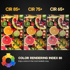 Seentech 12 Pack 60W 120V E12 Base B10 CTC Incandescent Light Bulbs, Transparent Candle Light Bulbs Perfect for Chandeliers, Ceiling Fan Lights, Pendants, Fireplace, Dimmable, Warm White 2700K