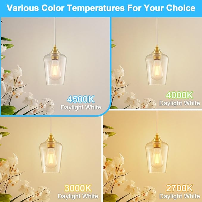 Ralbay ST48 Vintage LED Edison Bulbs 60 Watt Equivalent 6-Pack, Bright Natural White Light 4500K, E26 Antique LED Filament Bulbs, E26 Medium Base