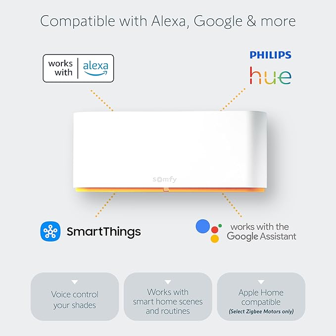 Somfy TaHoma Switch Hub for RTS Motors – App & Voice Control – Scenes & Schedules – Includes Ethernet Adapter – Compatible with Somfy Motorized Shades, Blinds, Curtains, Awnings #1871038