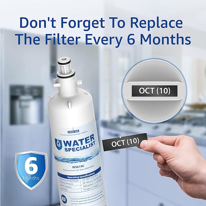 Waterspecialist Replacement for GE® RPWFE®, RPWF (Built-in CHIP) Refrigerator Water Filter, Compatible with GYS22GMNES, GYE22HSKSS, PYE22PELDS, GFE26GMKES, GFE26GGHWW, PFE28KYNFS, 4 Filters