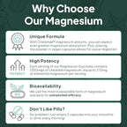 Pure Magnesium Glycinate with Zinc - Maximum Strength Chelated Magnesium Supplement for Women and Men for Muscle Cramps and Sleep Support - 6 Bottles