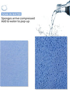 8-Pack Pop-Up Cellulose Sponges – Large, Compressed, Eco-Friendly & Plastic-Free for Kitchen, Bathroom & Home