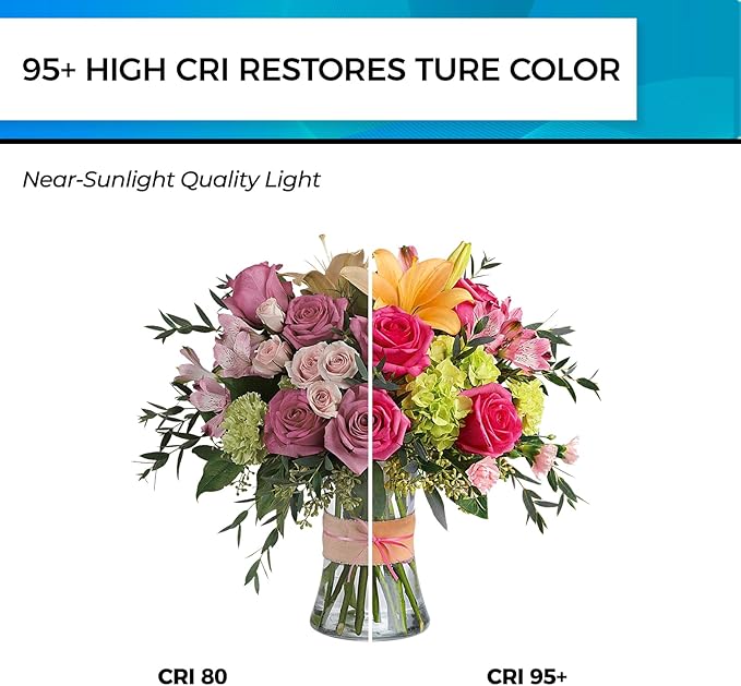 Hizashi Vintage LED Light Bulb Dimmable, 6W Equivalent 60W, E26 Base Led Edison Bulbs, 5000k Daylight, 700LM, High CRI 95+ Eye Protection, Clear Glass, Pack of 18