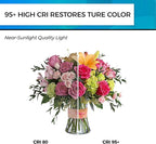 Hizashi Vintage LED Edison Bulb Dimmable, 6W Equivalent 60W, 5000k Daylight, E26 Base Led Light Bulbs, 700LM, High CRI 95+ Eye Protection, Clear Glass, Pack of 12