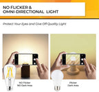 Hizashi Vintage Led Edison Bulbs Dimmable, 6W Equivalent 60W, E26 Base Light Bulbs, 700LM, 3000k Soft White, UL Listed, High CRI 95+ Eye Protection, Clear Glass, Pack of 24