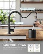 WEWE Kitchen Faucets with Pull Down Sprayer, Stainless Steel Single Handle 1 Hole for Family Kitchen Commercial Camper Laundry Rv Bar, Matte Black