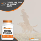 BulkSupplements.com Marine Collagen Softgels - Collagen Supplement, Collagen for Women & Men, 150mg of Collagen - Gluten Free, 1 Softgel per Serving, 120 Count (Pack of 1)