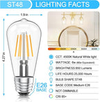 Ralbay 10 Pack Vintage LED Edison Bulbs ST48, 60W Equivalent, Bright Natural White Light 4500K, Clear Glass E26 Medium Base