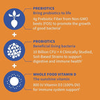 Garden of Life Dr Formulated 10 Billion CFU Prebiotic Fiber & Probiotic Gummies with Vitamin D3 for Digestive and Immune Health – Gluten Free, Non GMO, No Added Sugar, Orange Dream Flavor, 60 Gummies