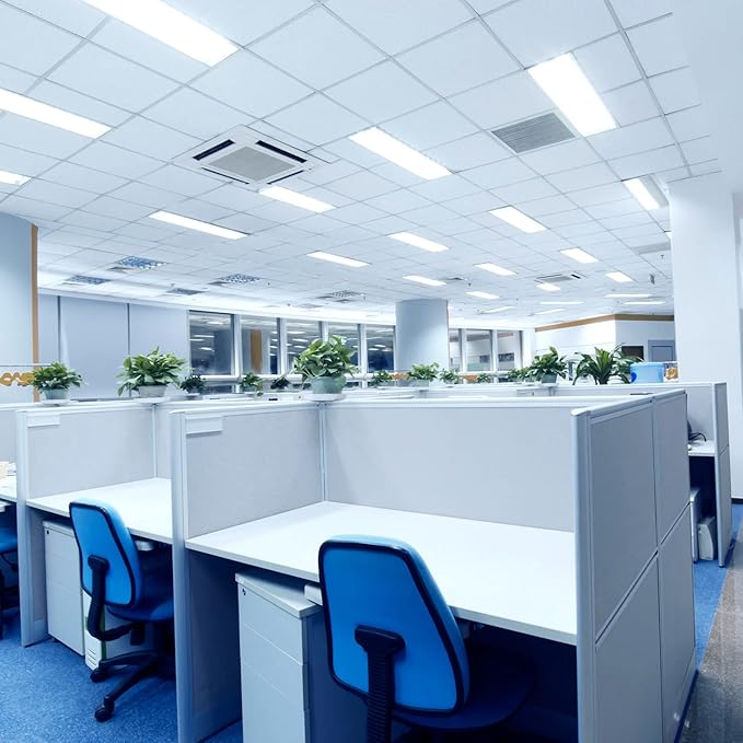 LUXRITE F32T8/865 32W 48 Inch T8 Fluorescent Tube Light Bulb, 6500K Daylight, 2800 Lumens, G13 Medium Bi-Pin Base, LR20735, 10-Pack