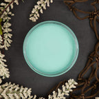Dixie Belle Paint Company Chalk Finish Furniture Paint - The Gulf (4oz) - Matte Soft Turquoise Chic Chalk Mineral DIY Furniture Paint