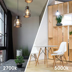 Jensense Edison LED Light Bulbs 8Watt Dimmable, 2700K Warm White, E26 Base, 60watt Equivalent, Vintage Bulbs 800lm CRI 90 Clear Glass, 64 Pack