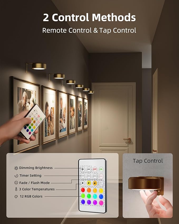 EZVALO Picture Lights for Wall, 2000mAh Rechargeable Battery Magnetic Poster Lights with 3 Color Temps & 12 RGB, Remote Dimmable Timer Painting Light, Wall Decor Light for Art Display, Frame (3 Pack)