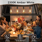 Jensense Edison LED Light Bulbs E26 Bulb 60 watt Equivalent Dimmable Light Bulbs 2300K Warm White (Amber Glass) Vintage 7W Edison Bulbs 110V 120V 800 Lumen CRI90, 4 Pack