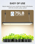 Fondwell 1/8" Adjustable Grow Light Hangers: 8 Pack of Tie Downs Rope - Small Ratchet Straps for Various Hanging and Strapping