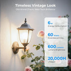 Dimmable LED Edison Bulbs, 4000K Daylight White, 6W Equivalent to 60 watt E26 LED Bulb, ST58 Vintage Light Bulbs, 600LM, 90+ CRI, E26 Base, Clear Glass, 18 Pack