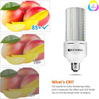 LED Light Bulb 500W Equivalent 7500 Lumen Led Corn Light Bulb,2 Pack 5000K Daylight White E26 LED Bulbs for Large Area Lighting Wide Application for Warehouse