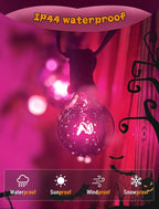 Abeja 25 Pack G40 Replacement Light Bulbs, Black Halloween Bulbs, G40 String Light Replacement Bulbs, 5W Dark Purple Bulb for Indoor Outdoor Patio String Lights, E12/C7 Base