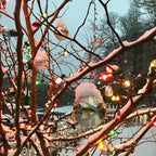 Novelty Lights Incandescent Replacement Bulbs - Outdoor Individual Bulbs for Events, Holiday Parties, Patios, and More - C7/E12 Candelabra Base, 5 Watt Lights (Multicolor, 25 Pack)