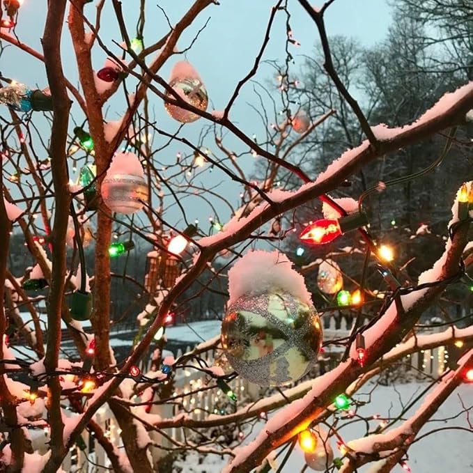 Novelty Lights Incandescent Replacement Bulbs - Outdoor Individual Bulbs for Events, Holiday Parties, Patios, and More - C7/E12 Candelabra Base, 5 Watt Lights (Multicolor, 25 Pack)