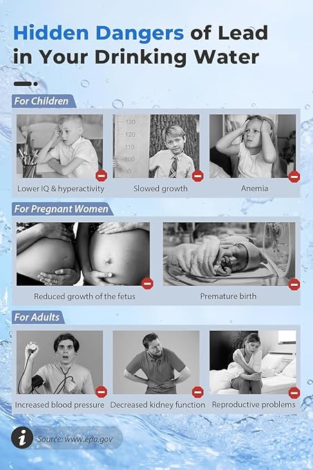 iSpring SGS-Tested Lead Removal Whole House Water Filter System w/ 3/4'' Push-Fit Stainless Steel Hoses, Reduces Arsenic, Cadmium, Mercury, Chlorine & up to 99% Lead, Model: WGB32B-CPB+AHPF12MNPT16X2