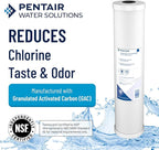 Pentair Pentek RFC-93 Carbon Water Filter, 10-Inch, Under Sink Radial Flow Carbon Replacement Cartridge with Granular Activated (GAC) Filter, 10" x 2.5", 25 Micron