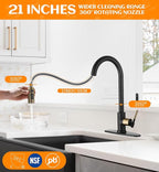 Black and Gold Kitchen Faucet- High Arc Single Handle Stainless Steel Sink Faucet with Pull Down Sprayer- 3 Spray Mode, 1.8 GPM High Flow fit for 1/3 Hole with 10" Deck Plate