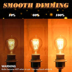 3 Pack A19 Edison Light Bulbs 60W, Warm Amber, E26 Base Dimmable Vintage Bulbs for Decorative Lighting & Home Decor
