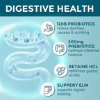 Probiotics for Women-Men Digestive Health with 120 Billion Probiotics, Prebiotics and Probiotics for Women-Men, Digestive Enzymes, Nutrient Absorption, Immune Support, 90 Veggie Caps (45 Days Supply)