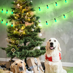 Abeja 25 Pack C9 Green Replacement Bulbs, 7W Vintage Incandescent Light Bulbs for Christmas Wedding Patio St. Patrick's Day Decoration, E17/C9 Intermediate Base