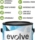 EVOLVE Paint & Primer: Environment-friendly, Low Sheen with One-coat Coverage for Interior & Exterior surfaces (Sky Blue, 1-Gallon)