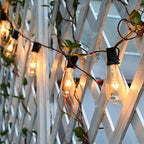 10 Pack Replacement Bulbs for Outdoor String Lights, ST40 Clear Edison Light Bulbs with 7W E17 Intermediate Screw Base Vintage Light Bulbs for Indoor Outdoor Christmas Patio Backyard Decor, Warm White