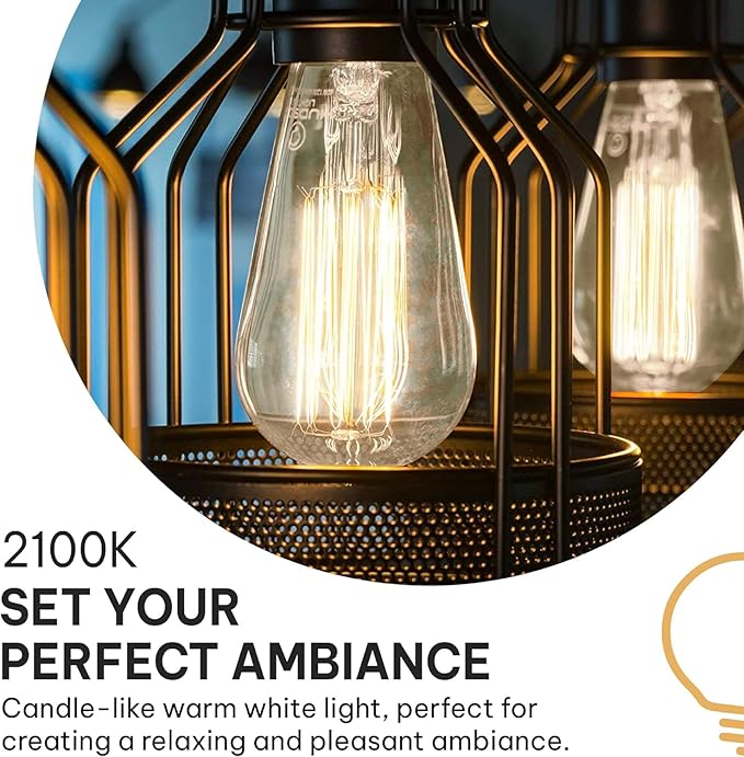 HUDSON BULB CO. Vintage Edison Incandescent 60W 12-Pack Light Bulbs - Antique ST64 Dimmable 2100K Warm Decorative Squirrel Filament - E26/E27 Base for Indoor Outdoor - Lightbulb - Outdoor Light