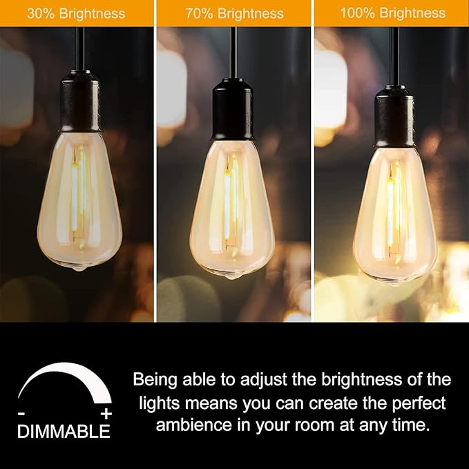 Abeja 10 Pack LED Edison Light Bulbs, ST40 Clear Replacement Bulb 0.6W fits E17 C9 Screw Base, Vintage Dimmable Shatterproof Bulbs for Outdoor Patio ST40 String Lights, Warm White
