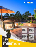 COLOER Brass Flood Lights with 4W 2700K LED G4 Bulb, 12V Low Voltage Landscape Floodlights for Outside, Outdoor Wall Lights Illuminating Signs, Walls and Tree